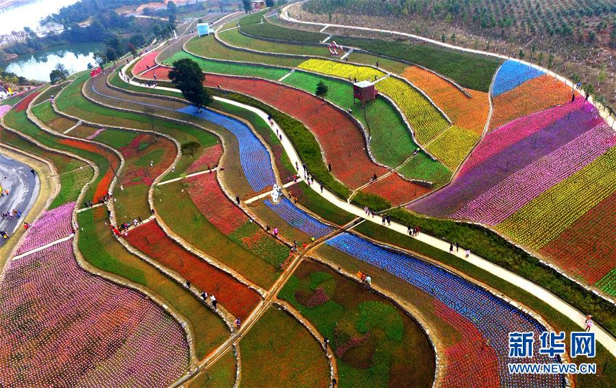 Tulips create colorful picture for visitors in Jiangxi
