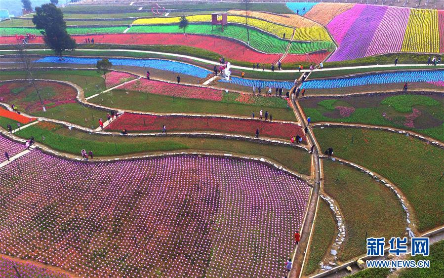 Tulips create colorful picture for visitors in Jiangxi