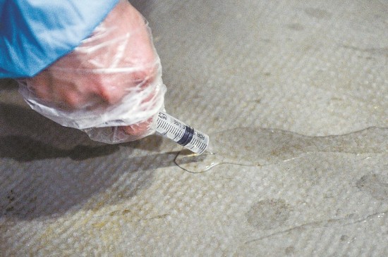 Panda nannies and their 'babies'