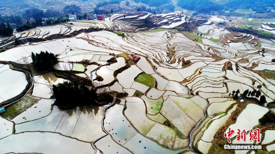 Chongqing terraced field resembles abstract painting