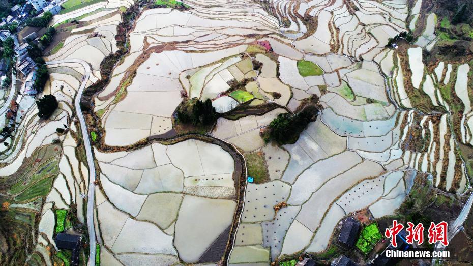 Chongqing terraced field resembles abstract painting