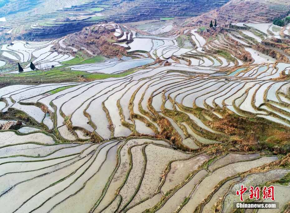 Chongqing terraced field resembles abstract painting