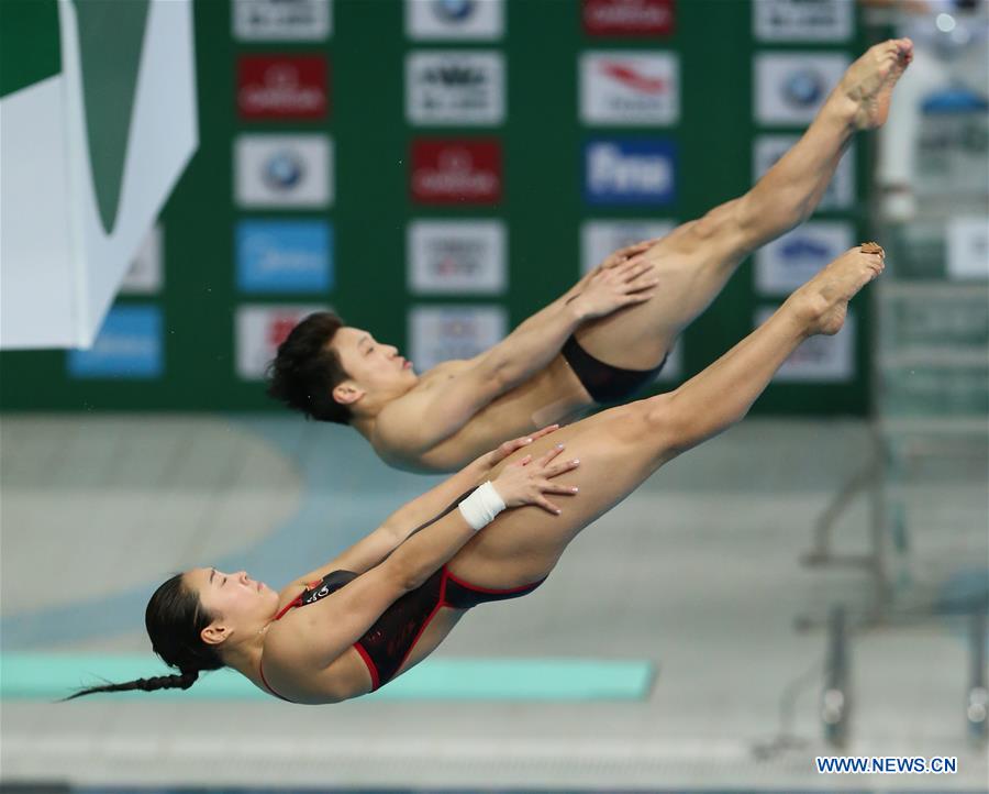 (SP)CHINA-BEIJING-FINA DIVING WORLD SERIES