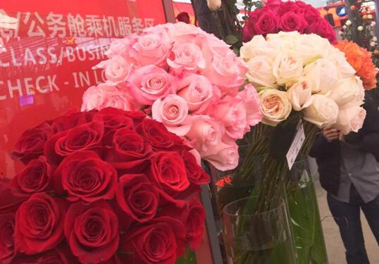 For Chinese, Ecuadorian women alike, Ecuadorian roses make dreams a reality