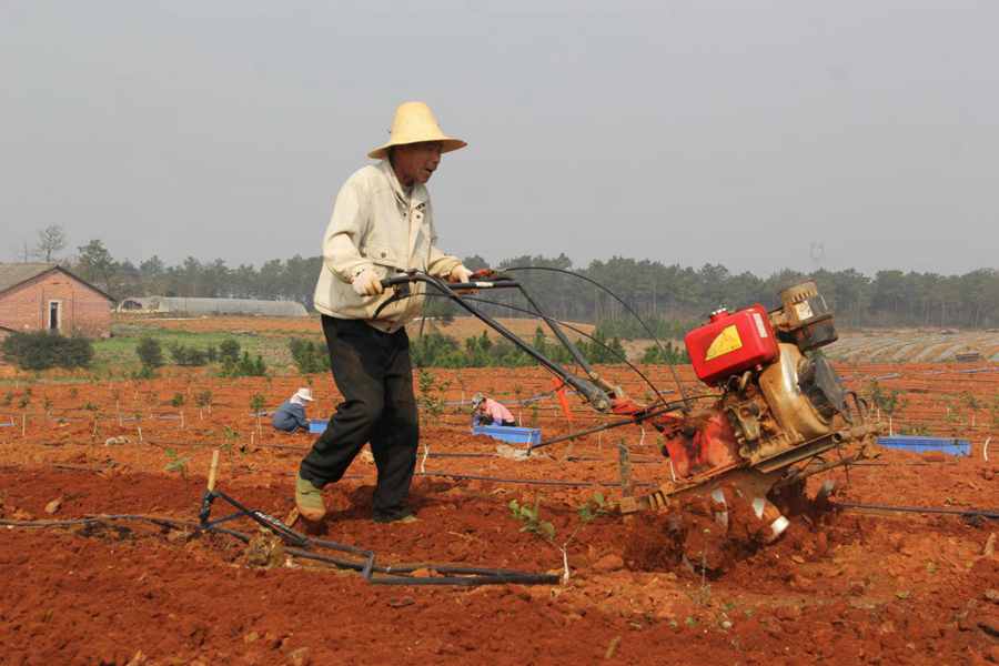 Targeted poverty reduction calls for elaborate work: Xi Jinping