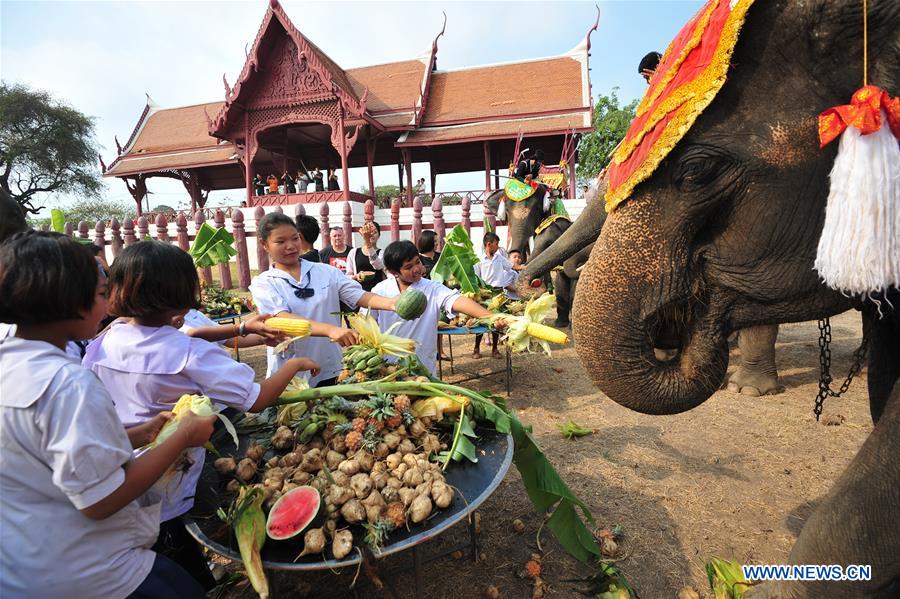 National Elephant Day marked in Ayutthaya, Thailand