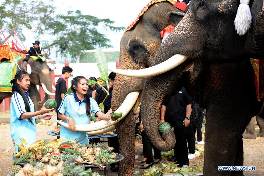 National Elephant Day marked in Ayutthaya, Thailand