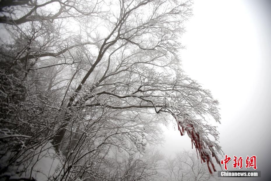 Henan mountain blanketed with snow