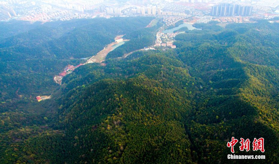 Jiangxi roads twist and turn around giant forest park