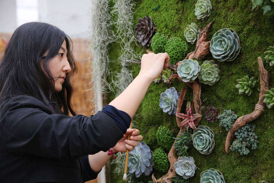 Florist turns live succulents into wall art