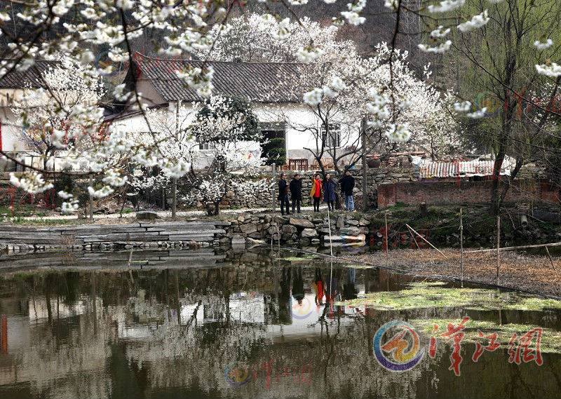 Xiangyang activates rural eco-travel in florescence