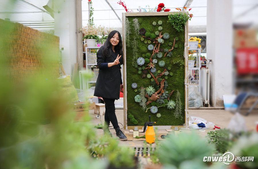 Shaanxi girl creates special succulent artwork