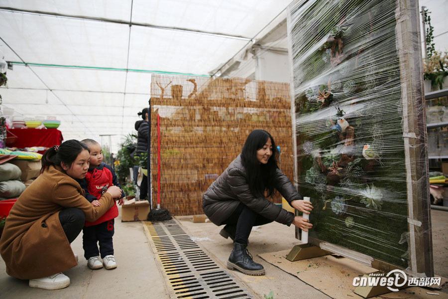 Shaanxi girl creates special succulent artwork