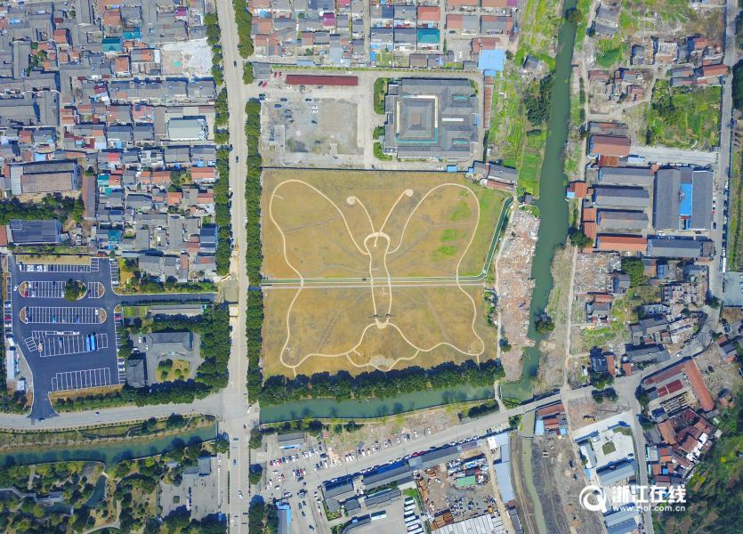 Aerial view of butterfly-shaped field in Zhejiang