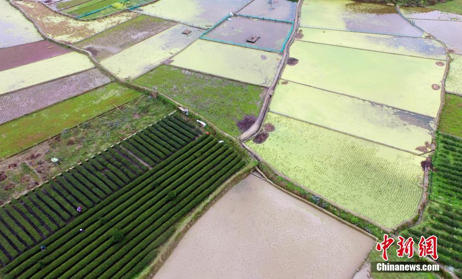 Aerial view of terraced fields in Southwest China