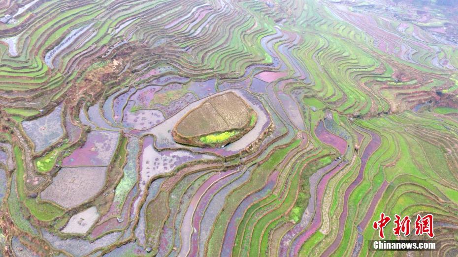 Aerial view of terraced fields in Southwest China