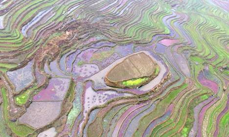 Aerial view of terraced fields in Southwest China
