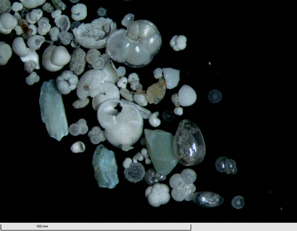 Foraminifera samples tell long history of South China Sea