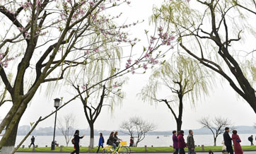 Tourists visit Bai Causeway in West Lake scenic area