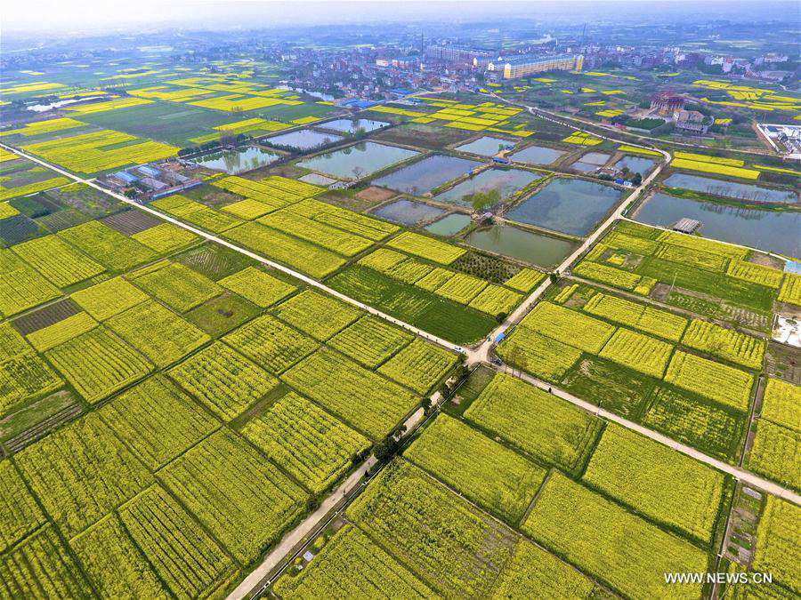 Spring scenery of Fengshan Town, China's Hubei