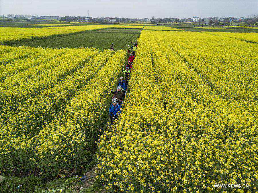 Spring scenery of Fengshan Town, China's Hubei