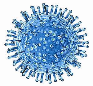 HK researchers identify mutation in H7N9 virus