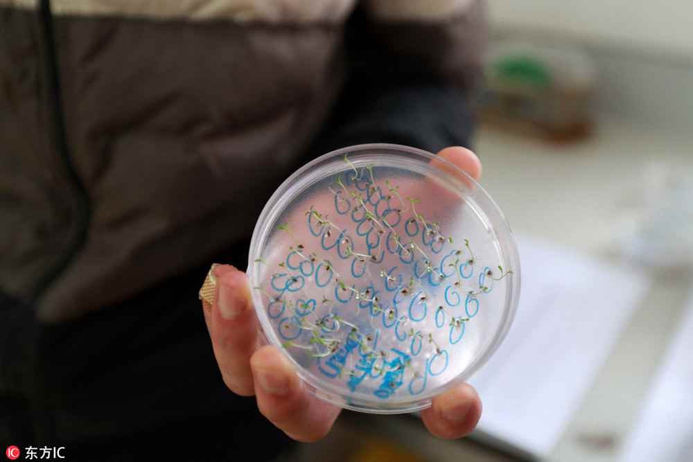 National seed bank gives rare plants chance for survival