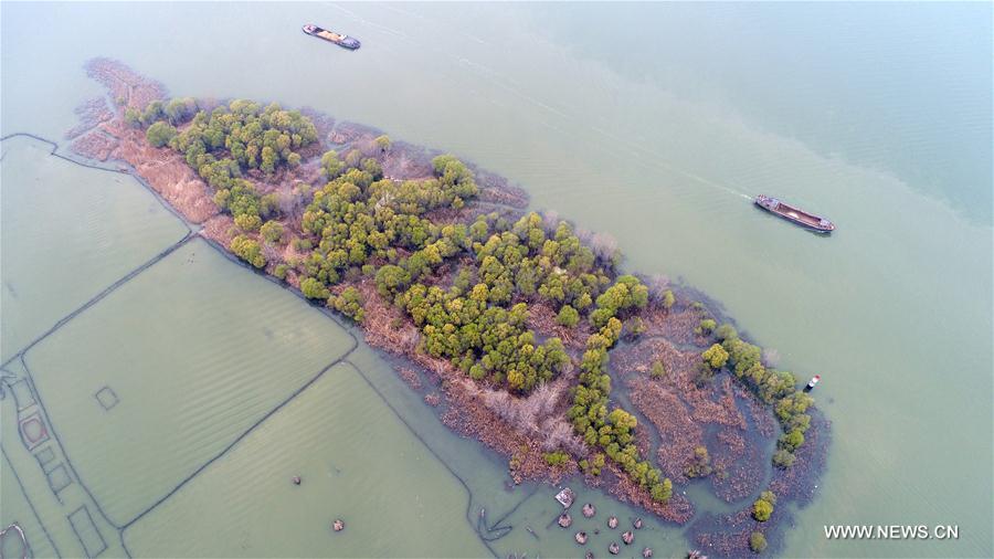 Fish-shaped island in Huai'an City, east China