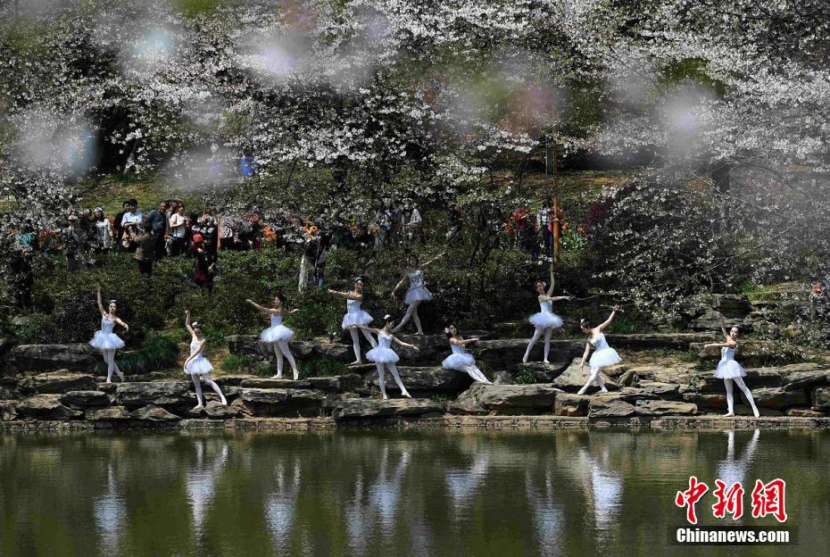 Flower ballet in Hunan