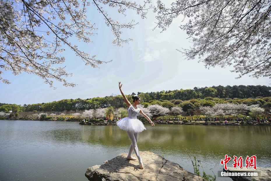 Flower ballet in Hunan