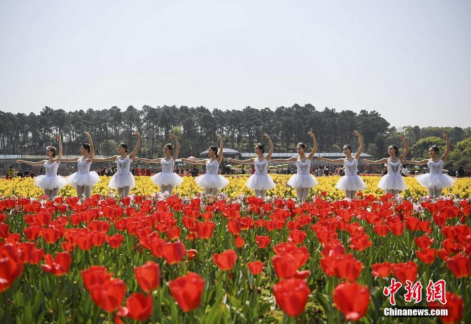 Flower ballet in Hunan