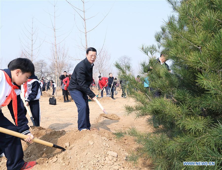 Xi attends tree planting activity, calls for understanding, protecting nature
