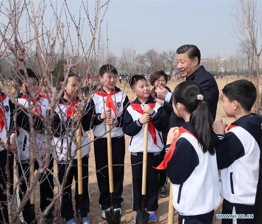Xi attends tree planting activity, calls for understanding, protecting nature