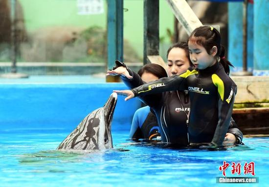 'Dolphin therapy' helps autistic child in Chengdu