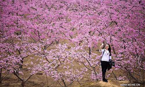 Spring flowers in full blossom across China