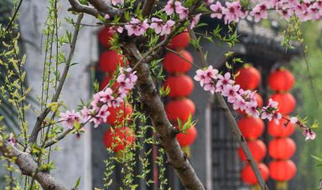 Tourists enjoy spring scenery in E China