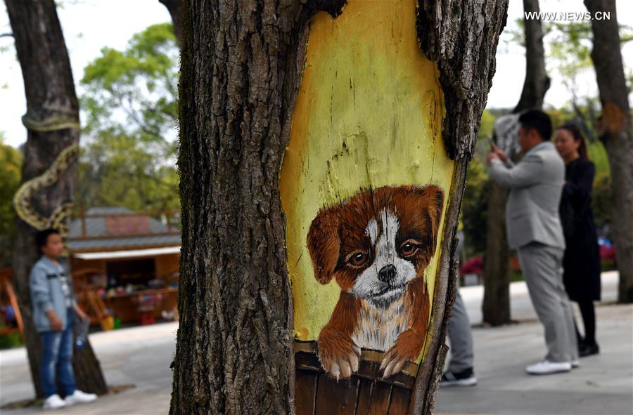 Fantastic "tree paintings" seen in east China's Anhui