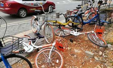 Survey shows vandalism troubles shared bike users