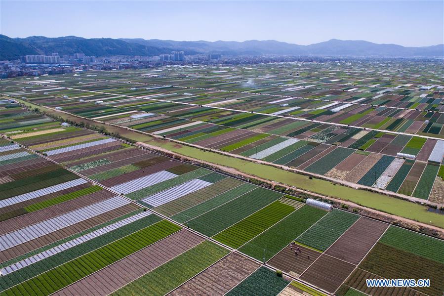 Aerial view of farmland scenery in SW China's Yunnan