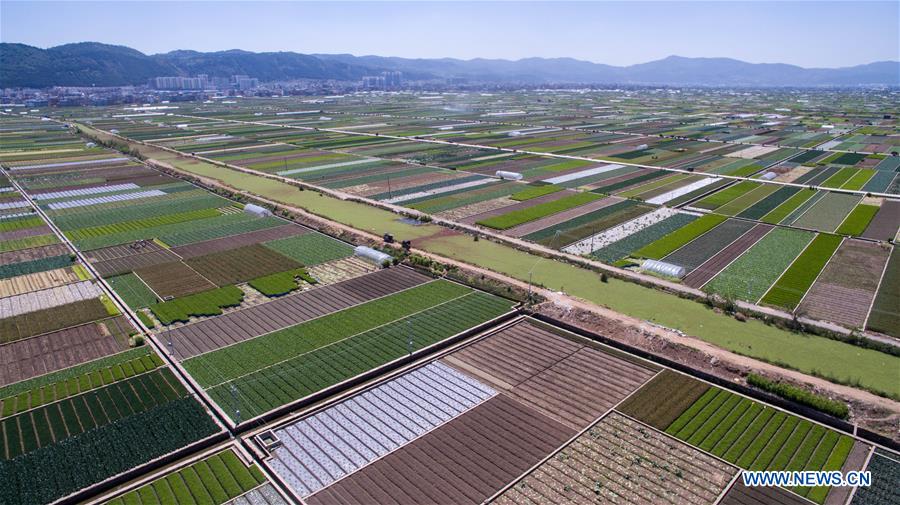 Aerial view of farmland scenery in SW China's Yunnan