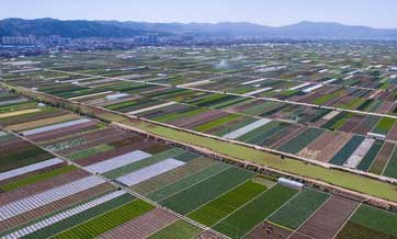 Aerial view of farmland scenery in SW China's Yunnan