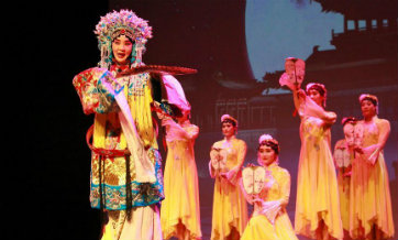 Chinese performance arts group performs in Namibia