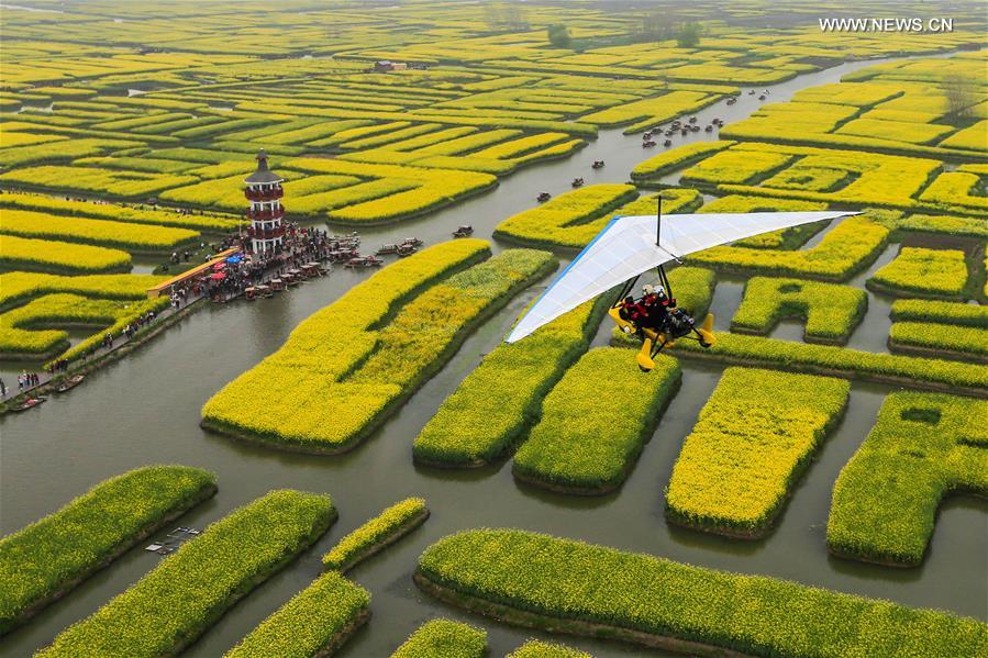 Tourists enjoy scenery of cole flowers on boats in east China's Jiangsu 
