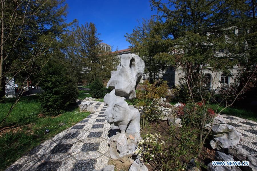 In pics: Chinese-style Gusu garden in Geneva, Switzerland 