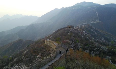 Spring scenery of Mutianyu section of Great Wall