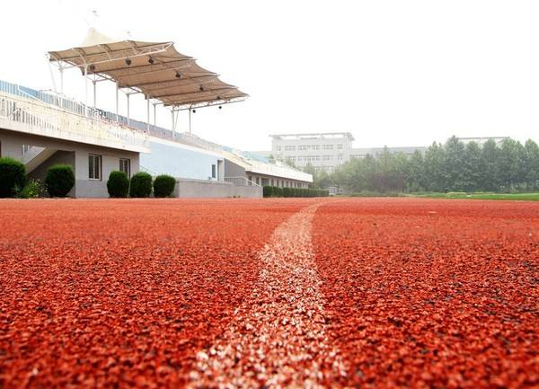After legal mediation, Beijing kindergarten to remove synthetic running tracks