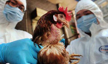 Tianjin reports new H7N9 case