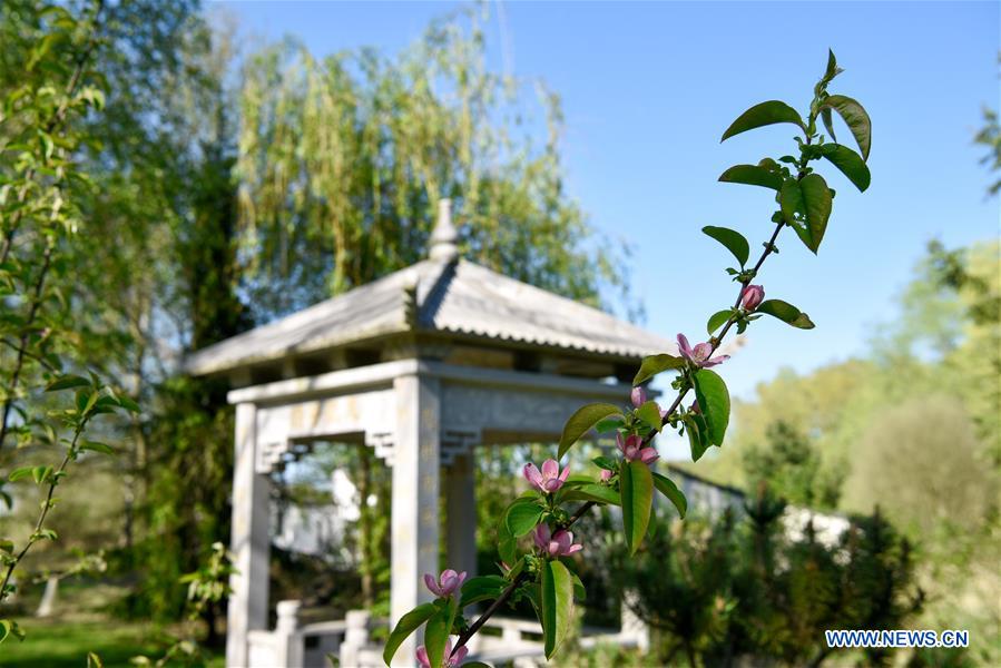 In pics: view of Yili Garden in Paris, France