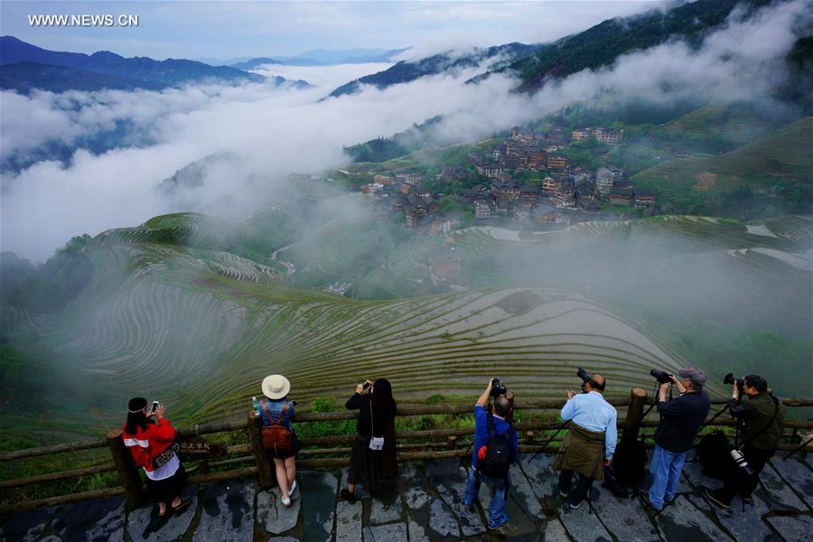 Terraces shrouded by clouds in south China's Guangxi