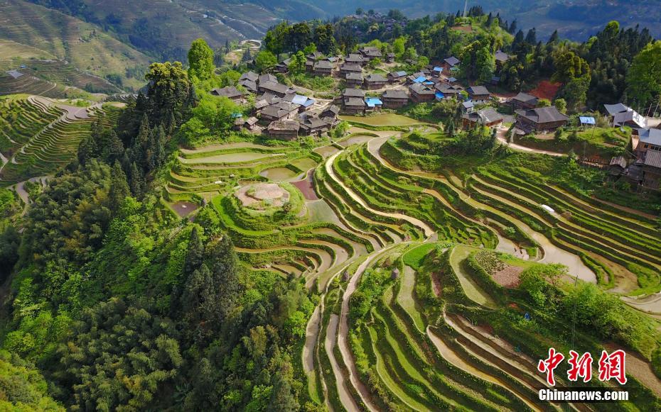 Terraced fields in Guizhou